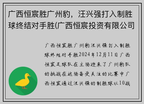 广西恒宸胜广州豹，汪兴强打入制胜球终结对手胜(广西恒宸投资有限公司开发楼盘)