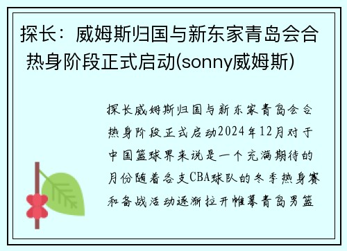 探长：威姆斯归国与新东家青岛会合 热身阶段正式启动(sonny威姆斯)